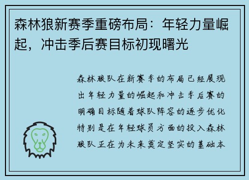 森林狼新赛季重磅布局：年轻力量崛起，冲击季后赛目标初现曙光