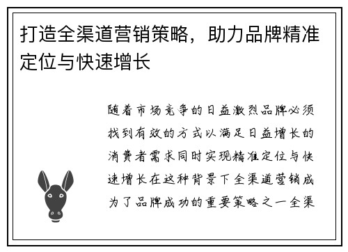 打造全渠道营销策略，助力品牌精准定位与快速增长