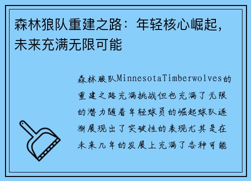 森林狼队重建之路：年轻核心崛起，未来充满无限可能